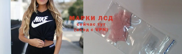 хмурый Покров