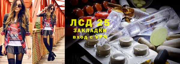 хмурый Покров