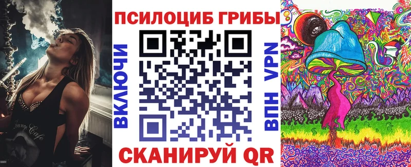 mega онион  Серафимович  Псилоцибиновые грибы GOLDEN TEACHER 